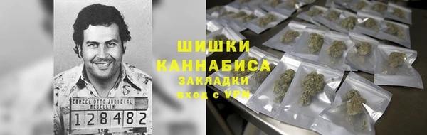 твердый Алексин