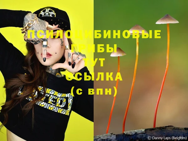 амф Алексеевка
