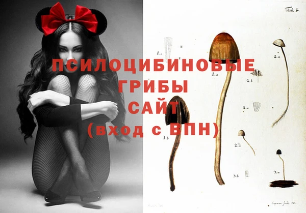 амф Алексеевка